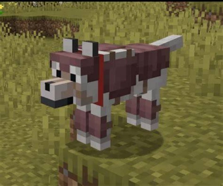 Can you lose your dog in minecraft?