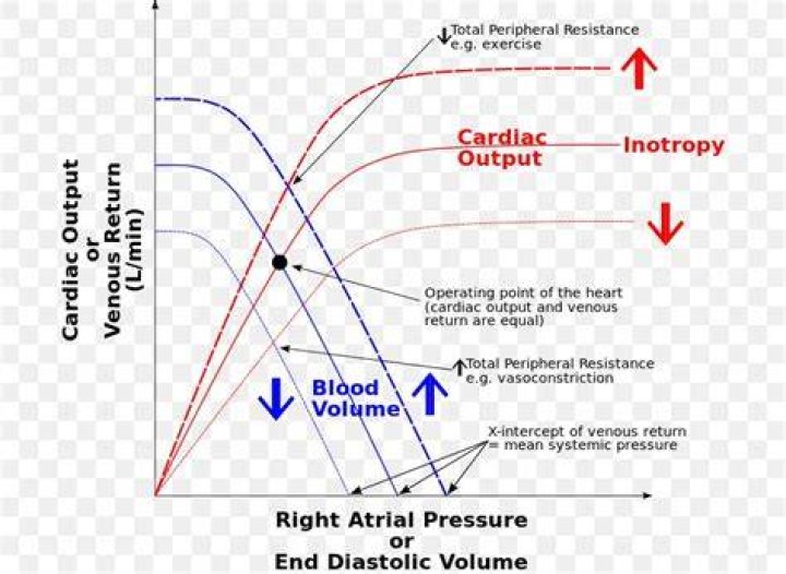 How venous return affect cardiac output?